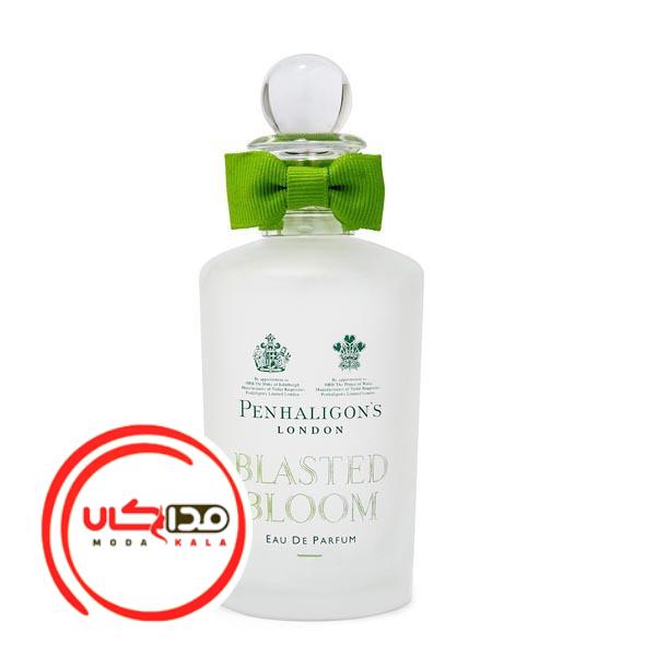 عطر ادکلن پنهالیگون بلاستد بلوم | Penhaligon`s Blasted Bloom
