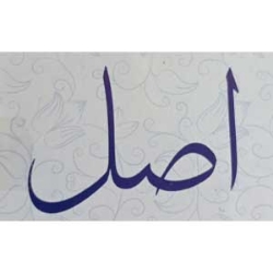 تصویر برای تولیدکننده: اصل | asl