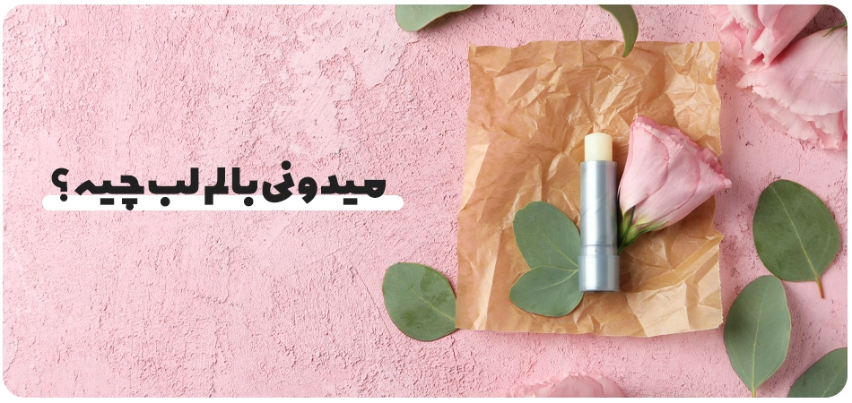 بالم لب چیست و چه ویژگی‌هایی باید داشته باشد؟
